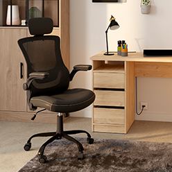 Chaise de bureau ergonomique
